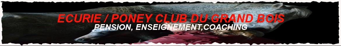 ECURIE / PONEY CLUB DU GRAND BOIS